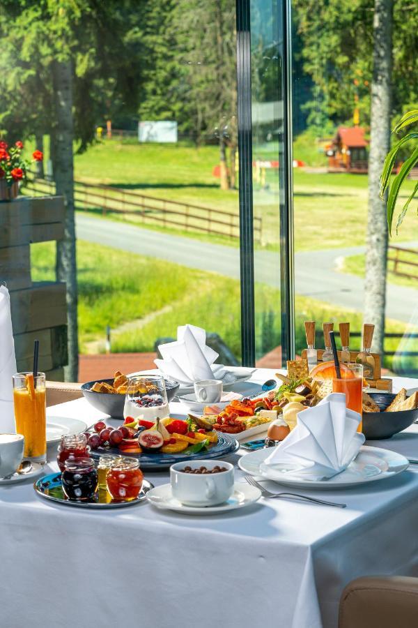 Ana Hotels Sport ポイアナ・ブラショフ エクステリア 写真